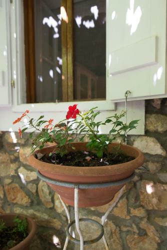 Apartamentos Loredana 2