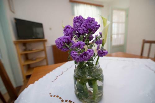 Apartamentos Armida