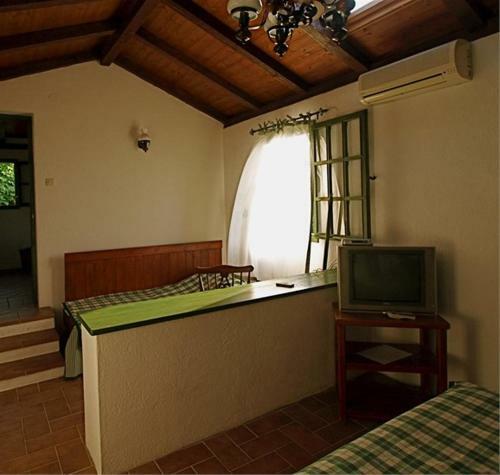 Apartments Cvita