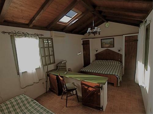 Apartments Cvita
