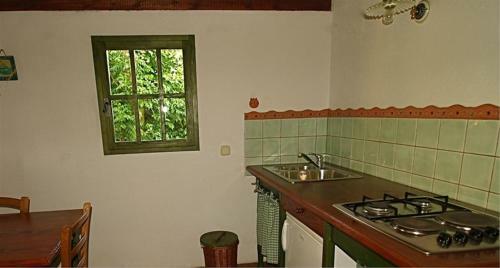 Apartments Cvita