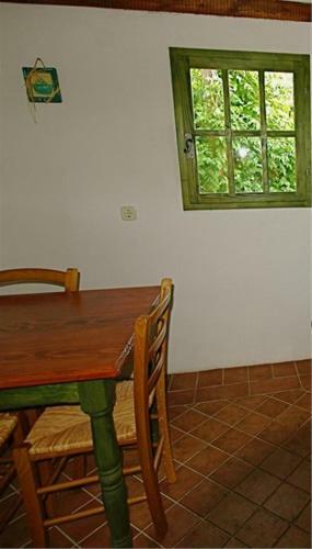 Apartments Cvita