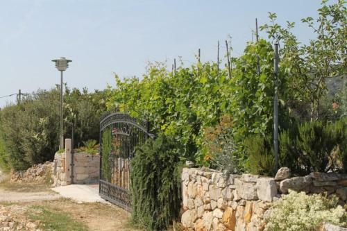 Apartment Uvala Soline 448d