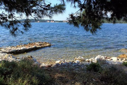 Apartment Veli Rat 438b