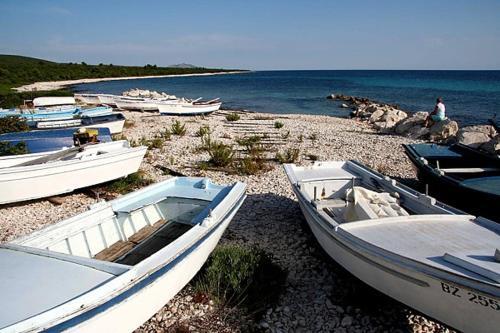 Holiday Home Veli Rat (3556)