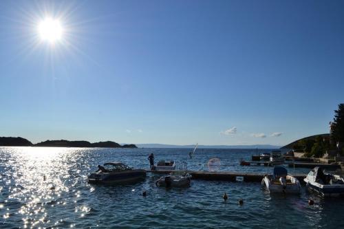 Holiday Home Veli Rat (3556)