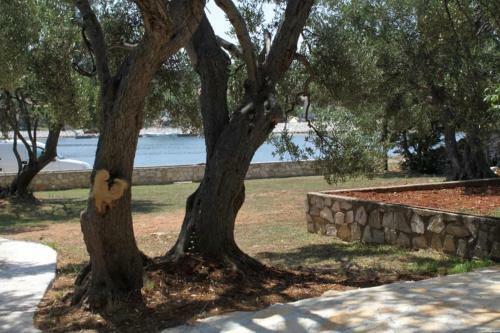 Apartments By The Sea Verunic (dugi Otok) - 8105