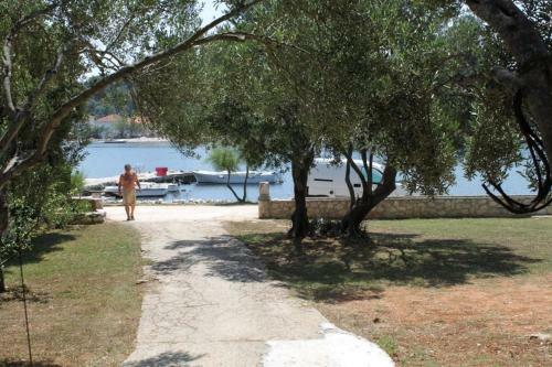Apartments By The Sea Verunic (dugi Otok) - 8105