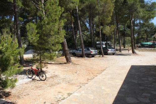 Apartment Verunic 3480a