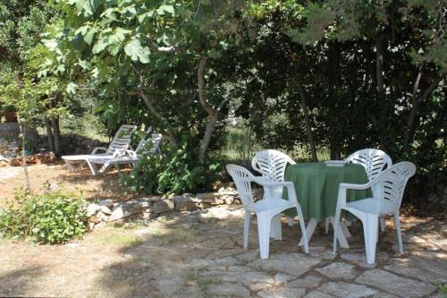 Seaside Holiday House Verunic (dugi Otok) - 8126