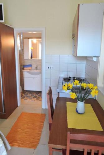 Apartamentos Studio Veli Rat 436a