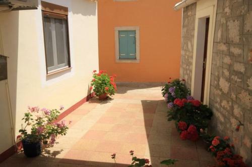 Apartment Veli Rat 437c