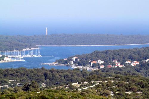 Apartments By The Sea Verunic (dugi Otok) - 8103