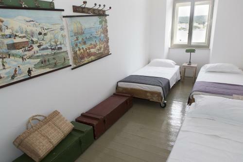Albergue Amarcord Skola