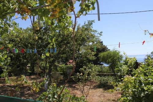 Apartments With A Parking Space Veliko Brdo (makarska) - 6791