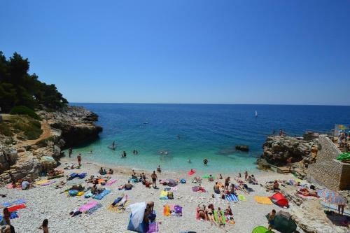 Apartment In Pula/istrien 10864