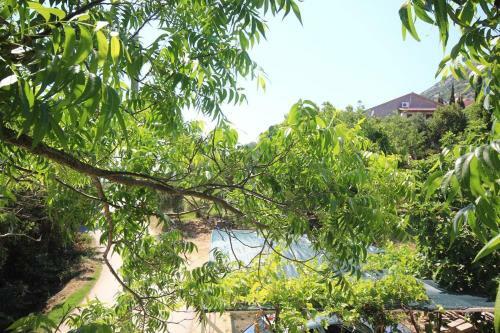 Apartments By The Sea Viganj (peljesac) - 633