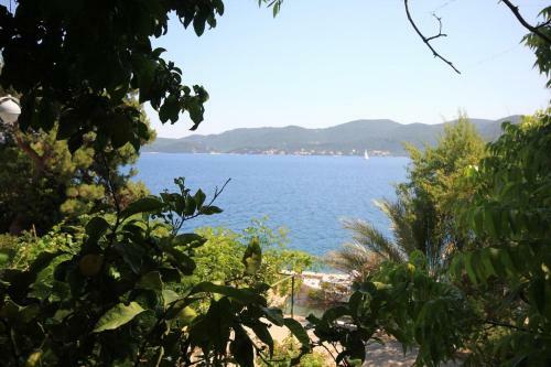 Apartments By The Sea Viganj (peljesac) - 633