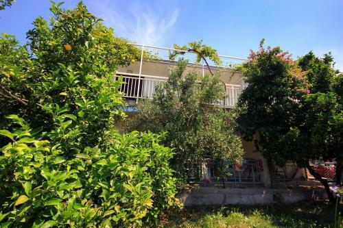 Apartment Viganj 260c