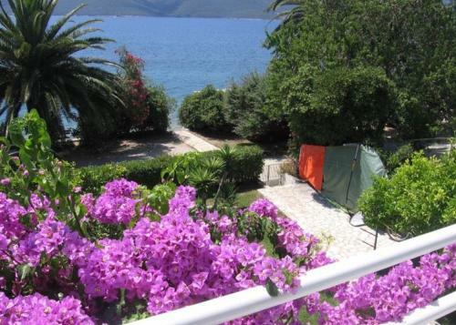 Apartments Grego