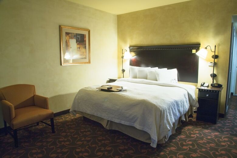 Hotel Hampton Inn & Suites Dallas-arlington Nrth-entertainmnt Dist