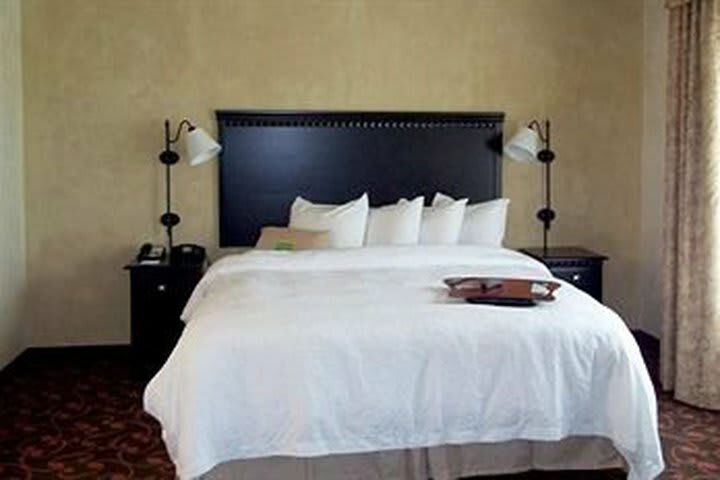 Hotel Hampton Inn & Suites Dallas-arlington Nrth-entertainmnt Dist