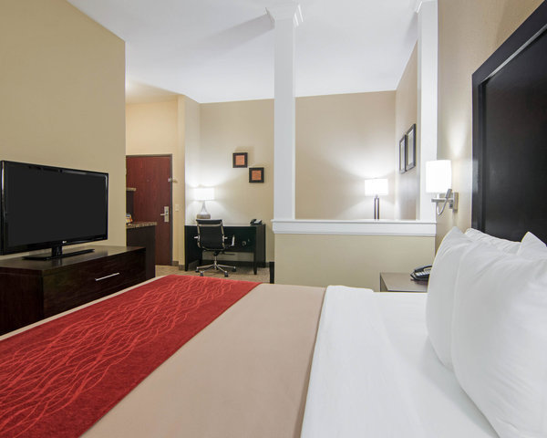 Hotel Comfort Inn & Suites Fm1960-champions