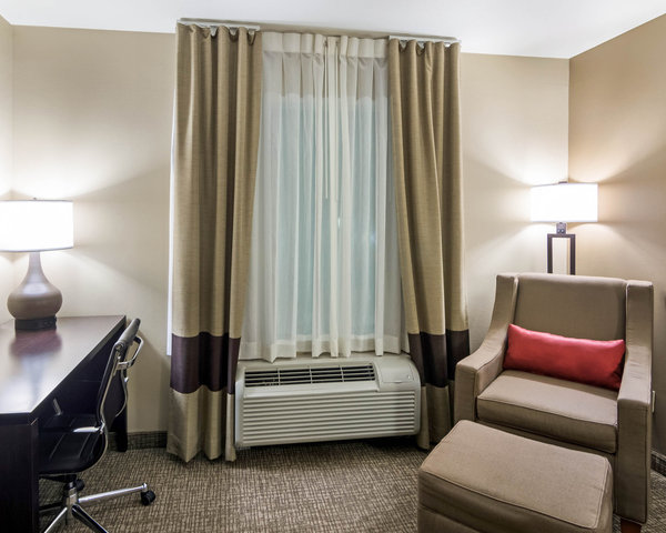 Hotel Comfort Inn & Suites Fm1960-champions
