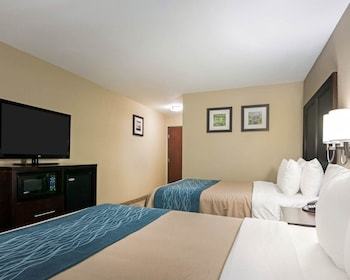 Hotel Comfort Inn & Suites Fm1960-champions
