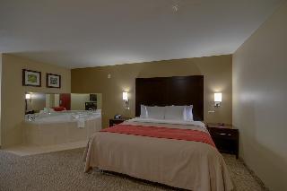 Hotel Comfort Inn & Suites Fm1960-champions