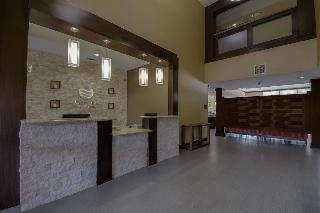Hotel Comfort Inn & Suites Fm1960-champions