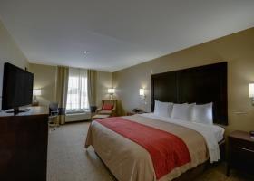 Hotel Comfort Inn & Suites Fm1960-champions