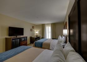 Hotel Comfort Inn & Suites Fm1960-champions
