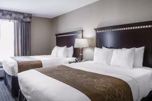 Hotel Comfort Suites Near Texas A&m - Corpus Christi