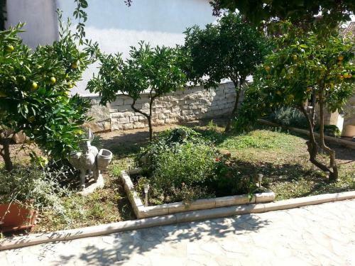 Apartamentos Studio Vinisce 12637a