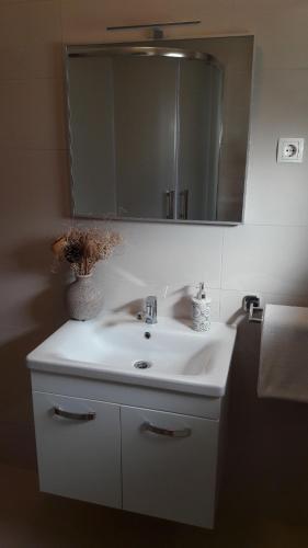 Apartment Branka