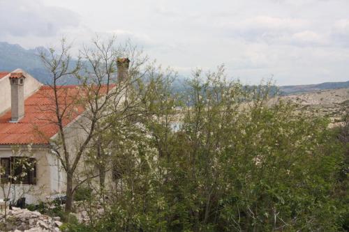 Seaside Apartments With A Swimming Pool Vinjerac (zadar) - 6187