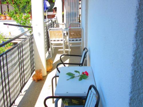 Apartamento Studio In Pula/istrien 10951