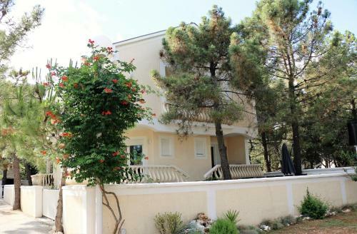 Apartments Bol?evi?
