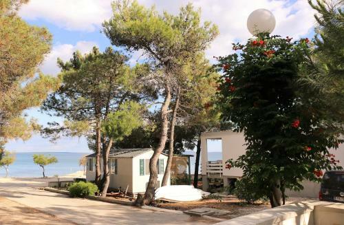 Apartments Bol?evi?