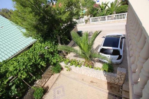 Apartments Borac
