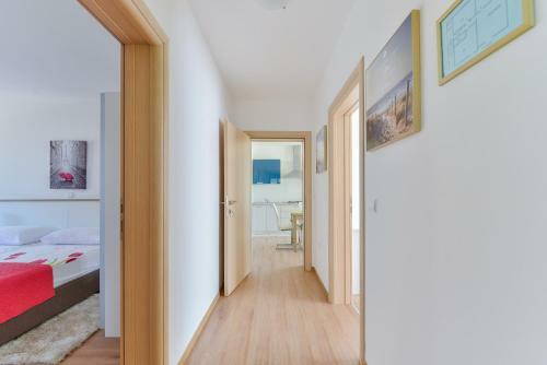 Apartments Medved