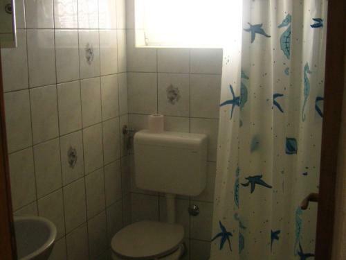 Apartment Vir 5
