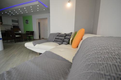 Apartments Mi?ija
