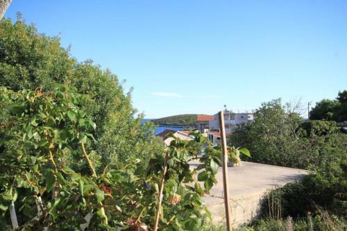 Apartment Rukavac 8893c