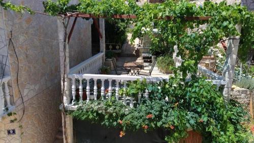 Apartment Vis 15926c