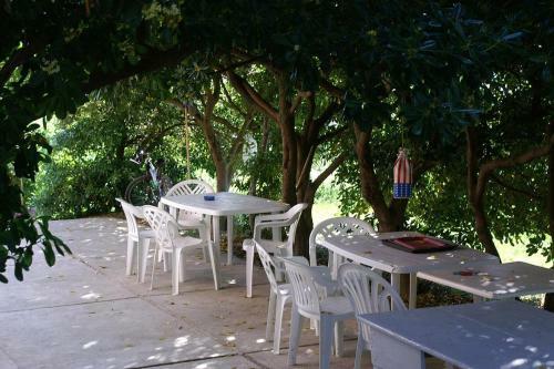 Apartment Vlasici 4319c