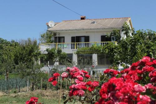 Apartments With A Parking Space Vlasici (pag) - 4148