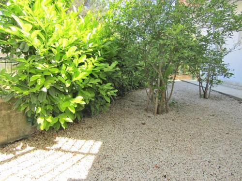 Apartment Vodice 14798c