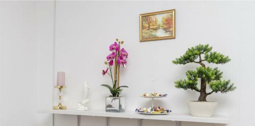 Hostal Apartment And Rooms Ive